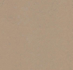 Линолеум Forbo Marmoleum Decibel on Order 372735 drift фото 1 | FLOORDEALER